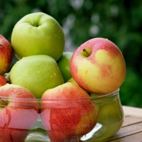 apple-allergy-1024x768-1.jpg